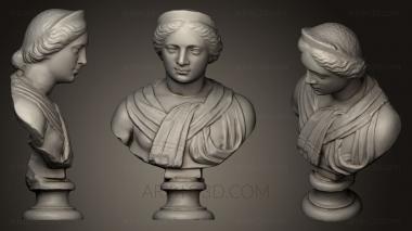 Busts and heads antique and historical (BUSTA_0533) 3D model for CNC machine